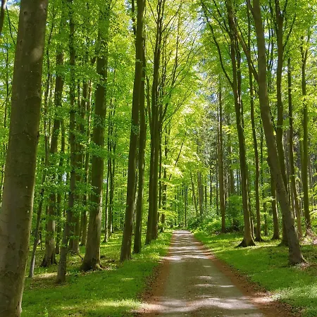 Apartment Gut Hohenstein - Platanenappartment Barkelsby