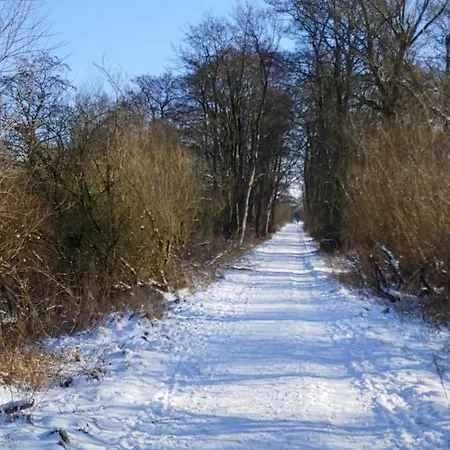 Gut Hohenstein - Platanenappartment Barkelsby