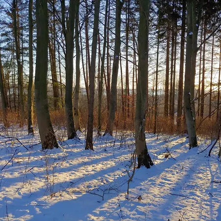 Gut Hohenstein - Platanenappartment Barkelsby