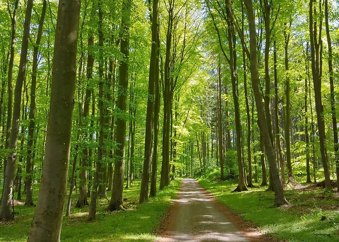 Apartamento Gut Hohenstein - Platanenappartment Barkelsby